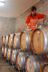 Racking the young wine from the lees: click to enlarge!