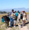 Donkeywalk, starting at Bein Wine Cellar over the Polkadraai Hills