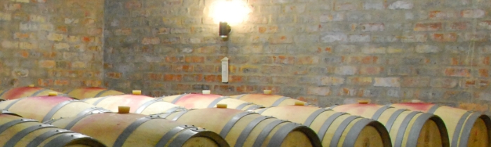 Der Fasskeller von Bein Wein, wo der Bein Merlot waehrend einem Jahr in Barriques ausgebaut wird