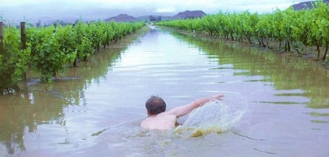 Wasserfluten in den Winelands von Robertson/Suedafrika, November 2008